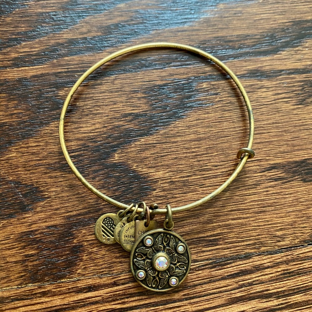 Alex and Ani charm bracelet